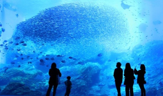 Sendai Umino-Mori Aquarium