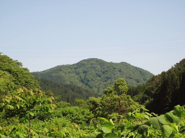 県民の森+梵珠全景