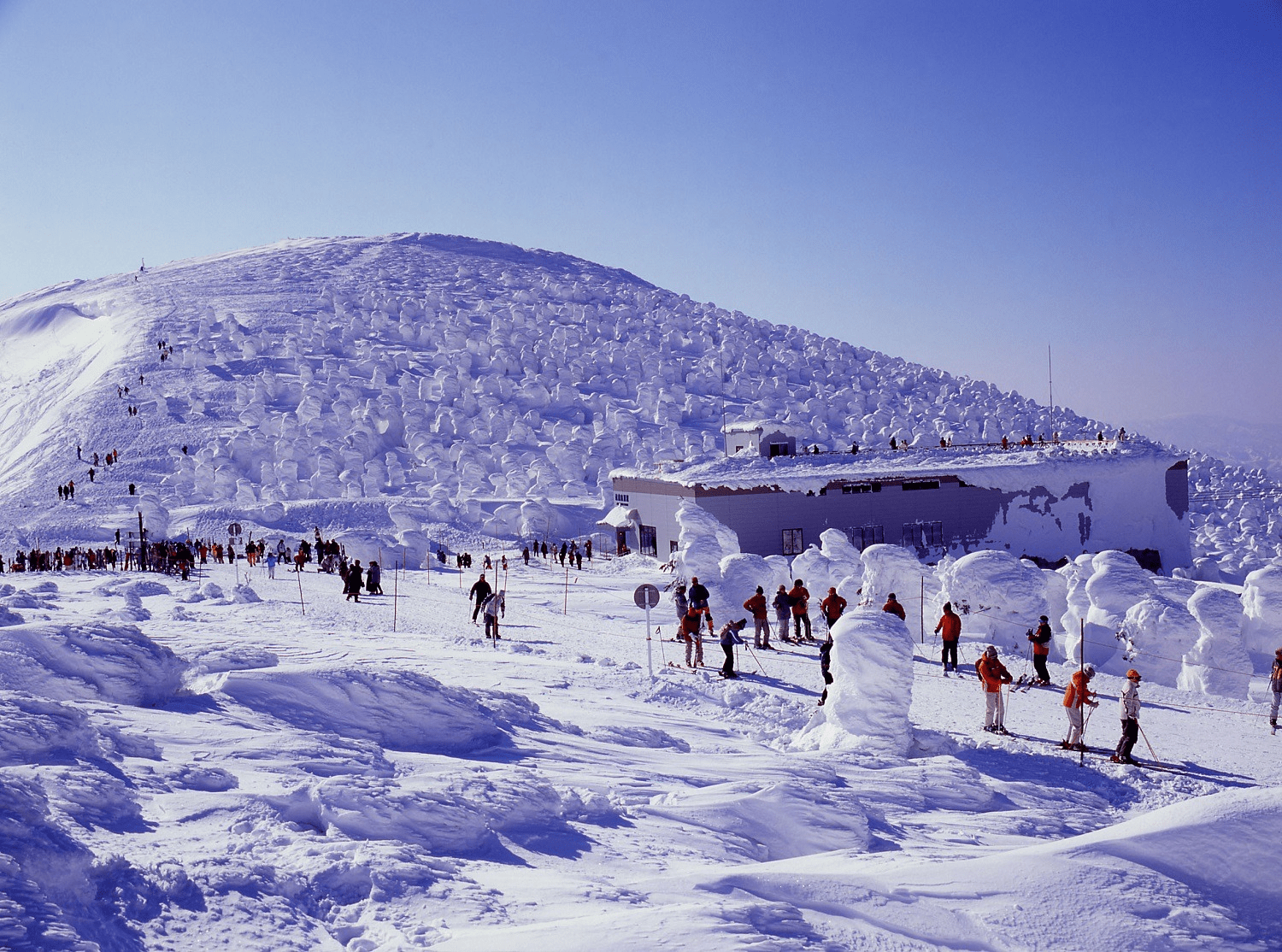 niigata tourist spot winter