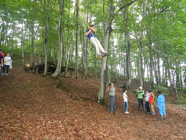 2日目：ブナ林散策（ターザンロープ、ブランコ体験）