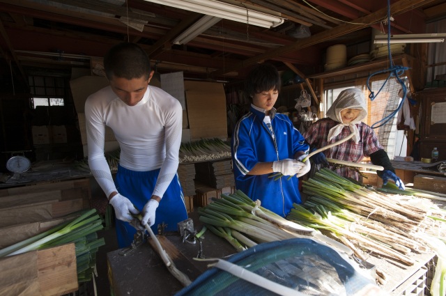 2日目：南部町農作業・農村生活体験