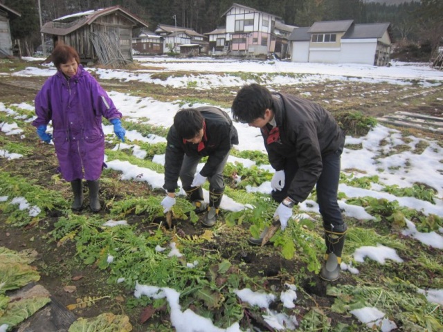 2日目：置賜地域農作業体験（米沢市・長井市・川西町・高畠町・飯豊町・白鷹町）