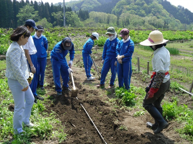 仙北市　農村生活体験（お昼まで）