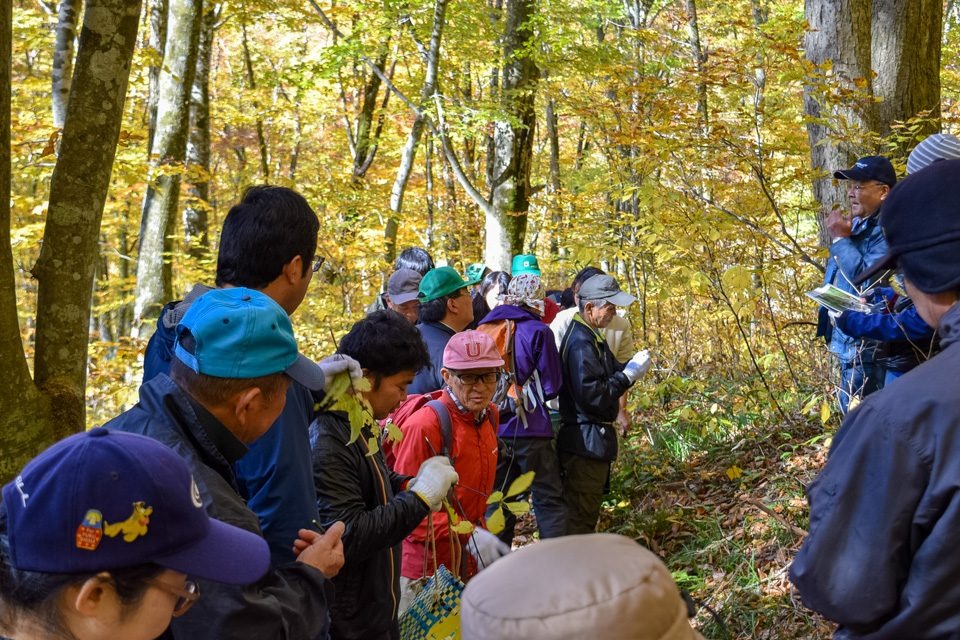 遊学の森体験プログラム 東北 新潟のおすすめ情報を探す 旅東北 東北の観光 旅行情報サイト