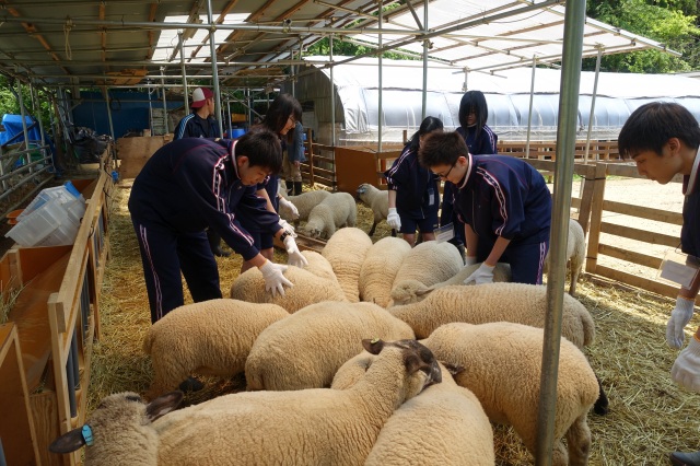 南三陸町農林漁業体験
