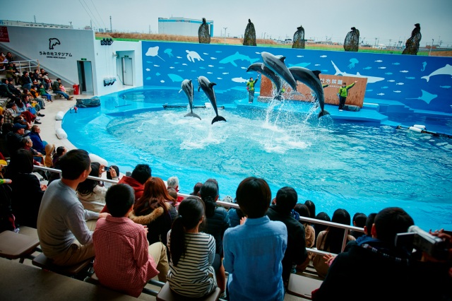 仙台うみの杜水族館