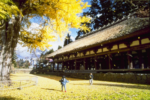 新宮熊野神社1