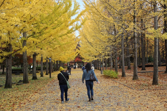 山形県総合運動公園1