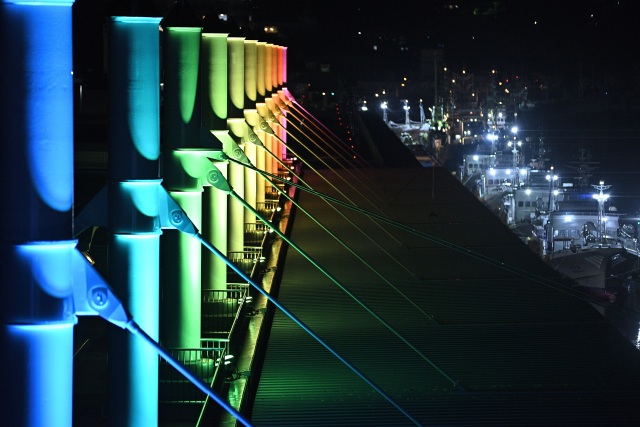 気仙沼市魚市場ライトアップ