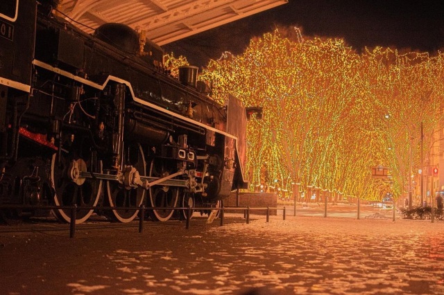 SENDAI光のページェント5