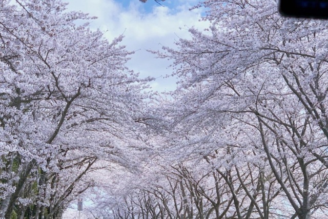 涌谷城趾城山公園