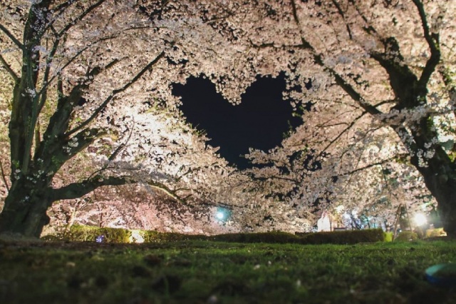 弘前城／弘前公園10