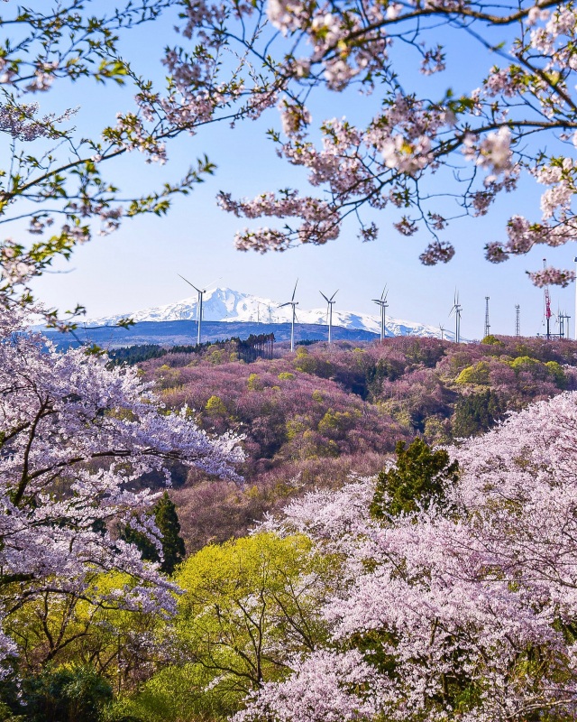 浜館公園