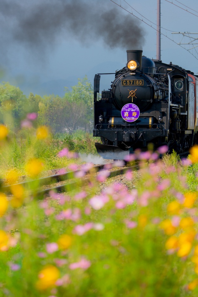 磐越西線（ＳＬばんえつ物語）