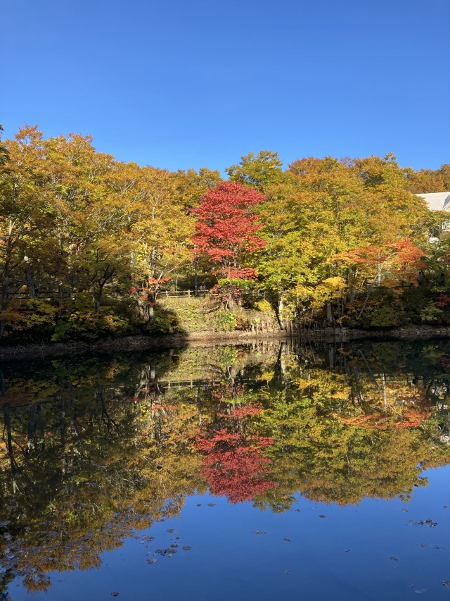 どっこ沼（蔵王高原）