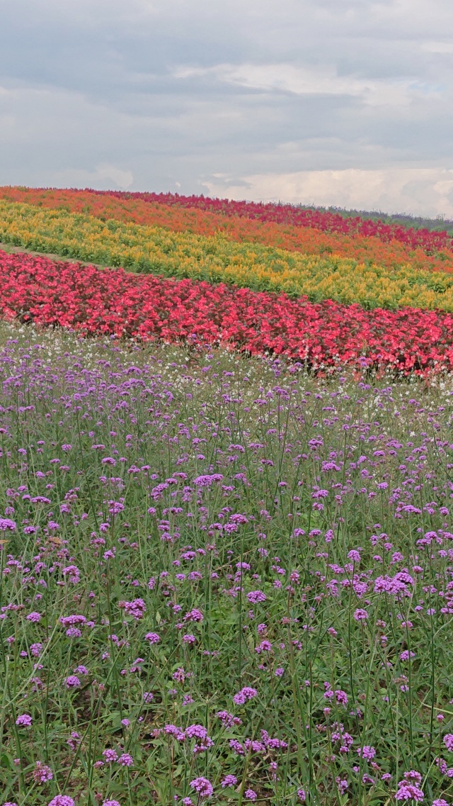 やくらいガーデン