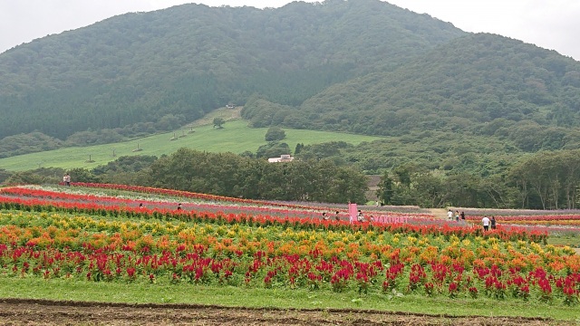 やくらいガーデン