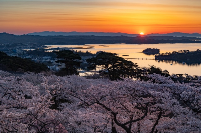 西行戻しの松公園