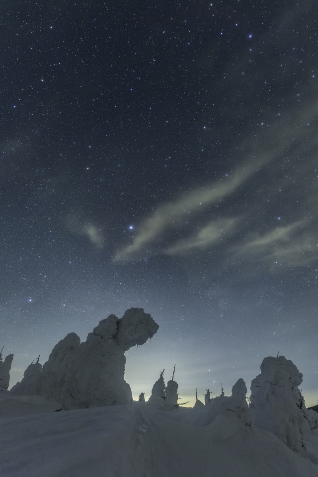 宮城蔵王の樹氷