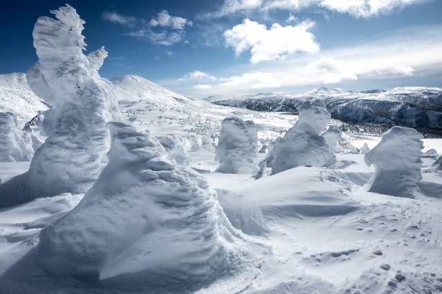 八甲田山の樹氷