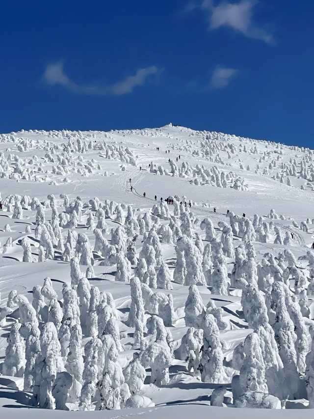 森吉山の樹氷