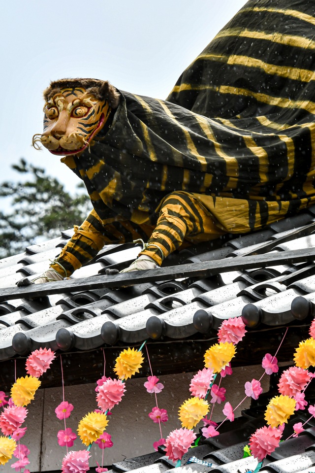 初午まつり 火伏せの虎舞