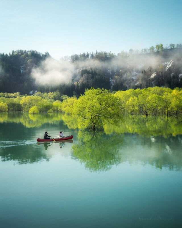 白川湖の水没林