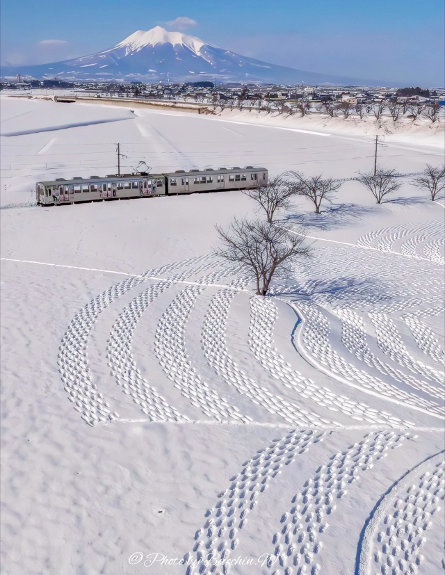 冬の田んぼアート