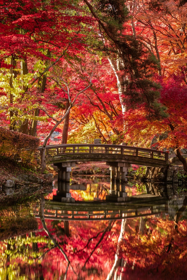 盛岡城跡公園の紅葉