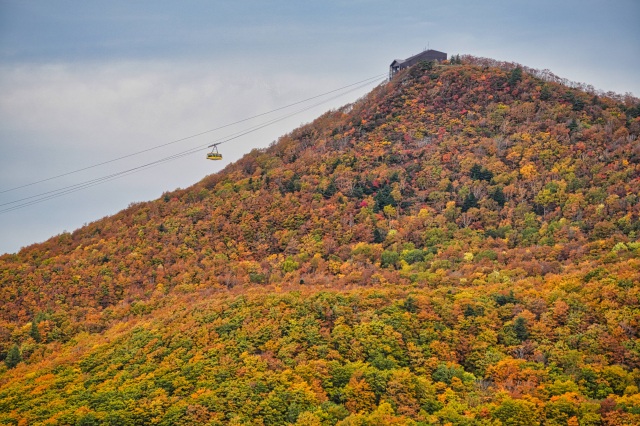 蔵王中央ロープウェイ　紅葉