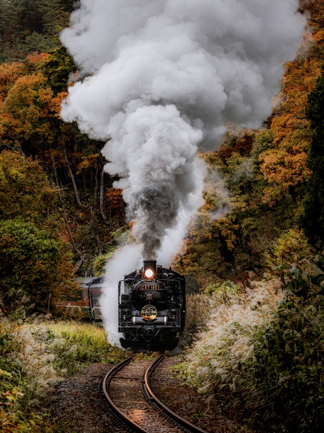 福島県喜多方市　SLばんえつ物語　紅葉