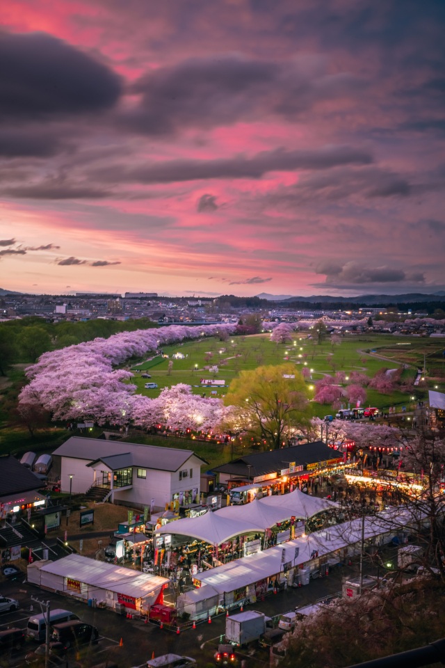 北上展勝地さくらまつり