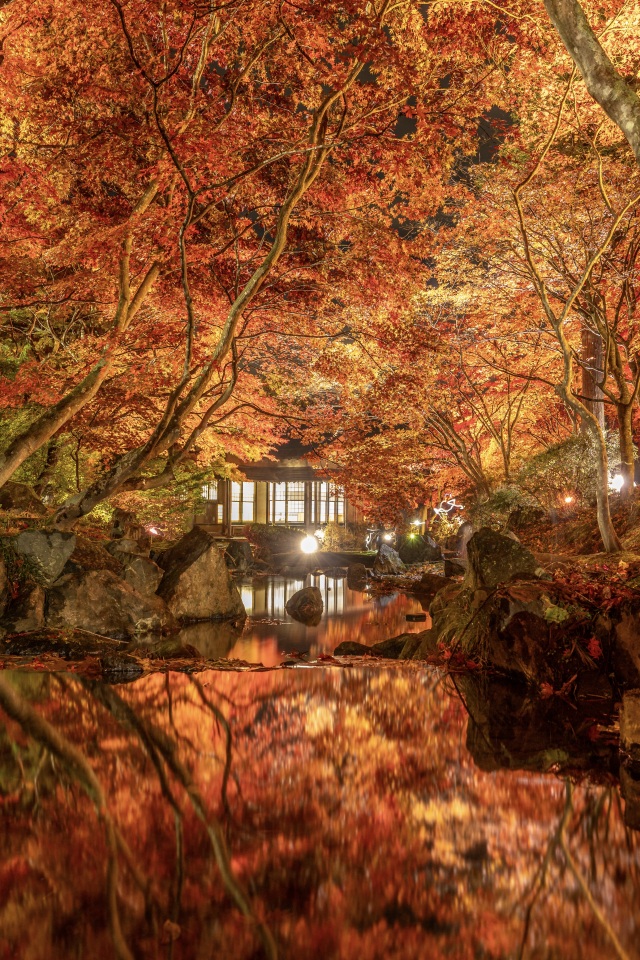 カッコーの森エコーランド　紅葉