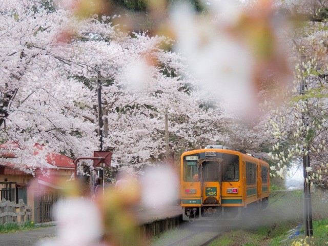 tohoku best places to visit