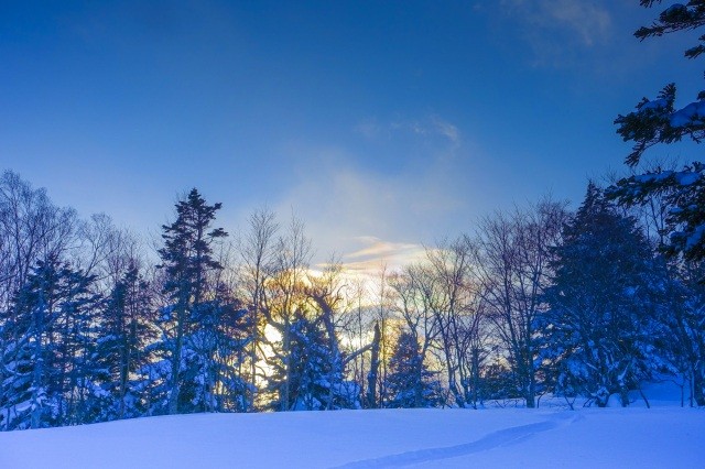 冬の夕暮れ時、神秘的な風景