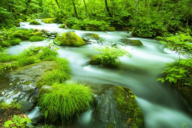 Oirase Mountain Stream