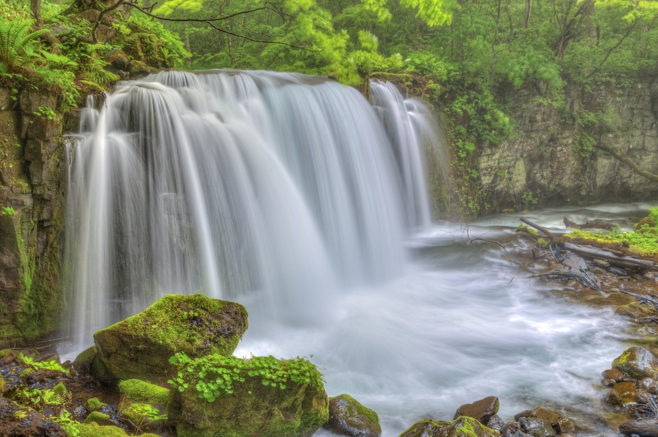 Oirase Mountain Stream Search Destinations In Tohoku Travel To Tohoku The Official Tourism Website Of Tohoku Japan