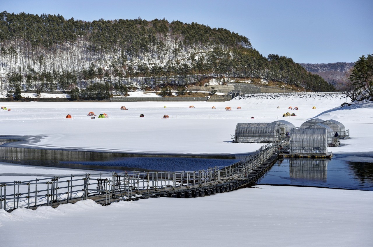 Lake Gando