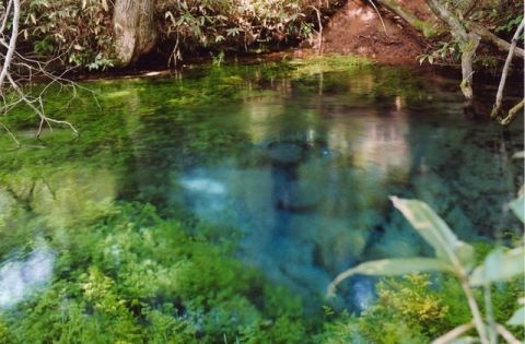 【岩手県八幡平市】金沢清水