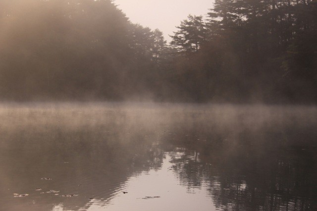 早起きして朝もやを【pixta】