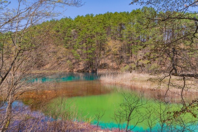 3色の色が楽しめる「みどろ沼」【pixta】