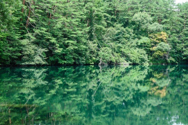 透明度が高い「柳沼」【pixta】