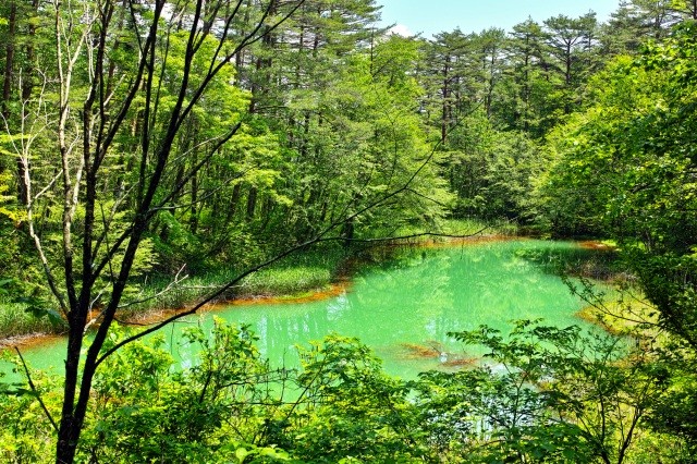 水の鉄分で周囲が赤く染まる「赤沼」【pixta】