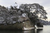 松島は雪の景色が特に美しいとされる【pixta】