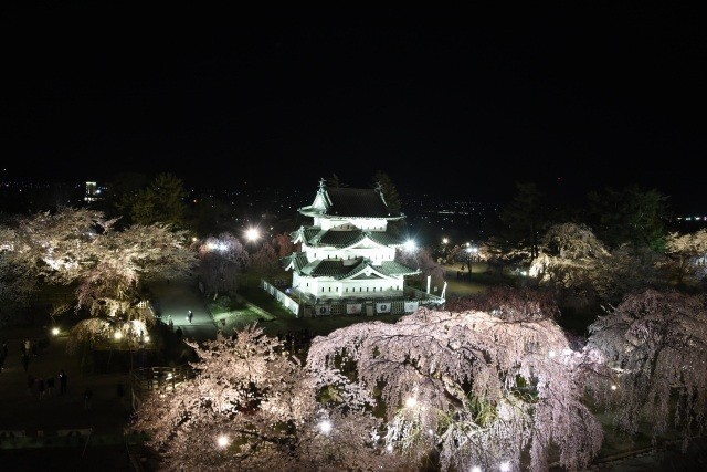 春の弘前城（夜）
