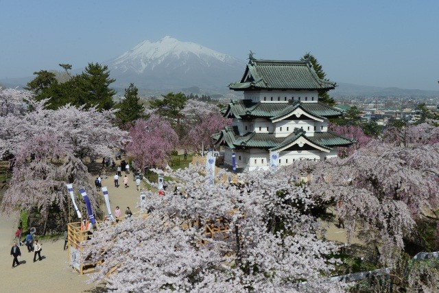 春の弘前城