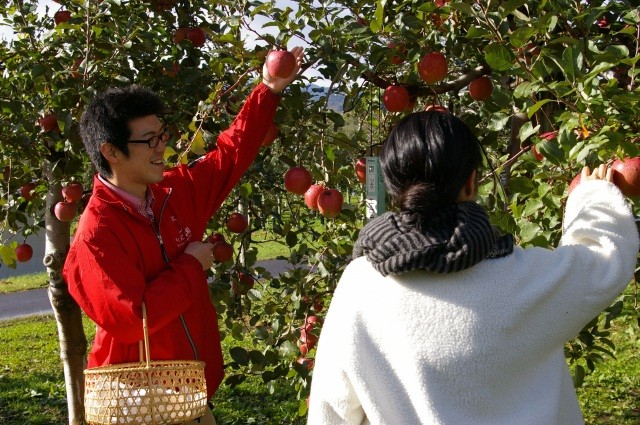  สวนแอปเปิล เมืองฮิโรซากิ