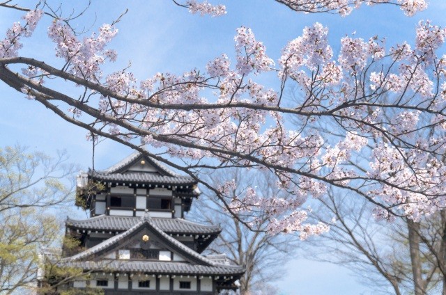 tohoku best places to visit