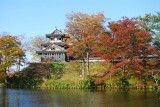 秋、紅葉に彩られる高田公園【pixta】