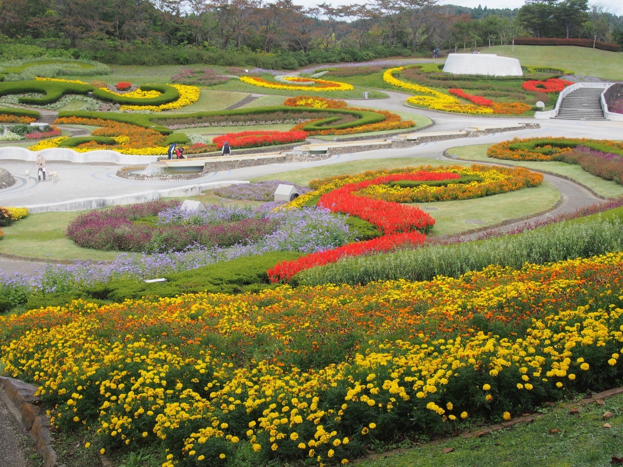 国営みちのく杜の湖畔公園 東北の観光スポットを探す 旅東北 東北の観光 旅行情報サイト